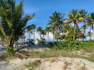 Centre de la plage de Crandon Park, sur l'île de Key Biscayne à Miami