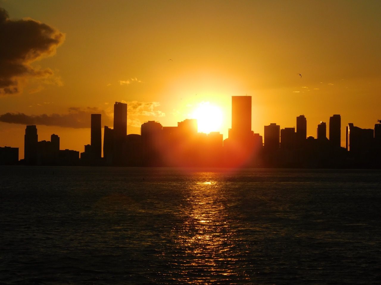Coucher De Soleil Sur Miami Downtown Et Brickell Vus De La